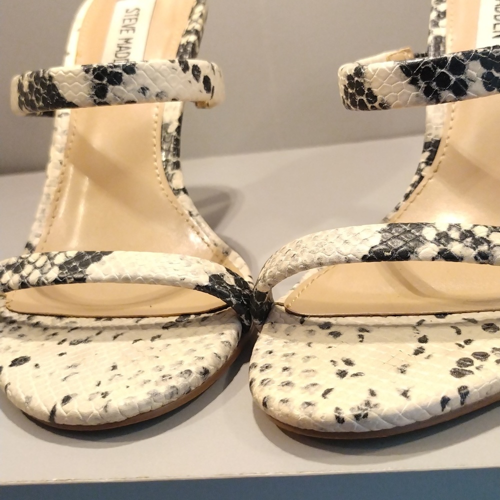 STEVE MADDEN SHOES - Picture 8 of 9